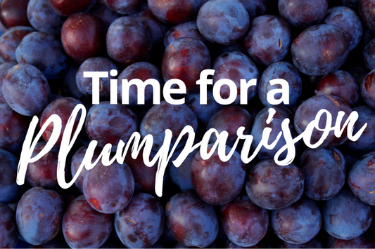 Victoria vs Jubilee: Which Plum Tree Is Right for Your Garden?