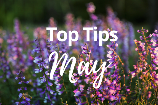 May Gardening Tips: Your Guide to a Blooming Beautiful Garden