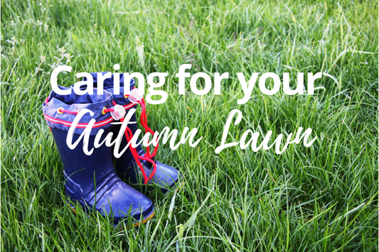 Why Autumn Lawn Care Matters
